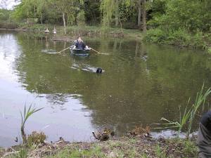 unghundene har indkald gennem vand - Henrik og John passer p&aring;