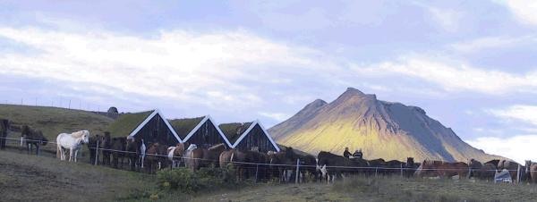 Island 2003: Hattafell i aftensol bag folden ved Emstrur.