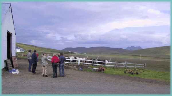 Island 2002: Midhus hos L�rus Bragason