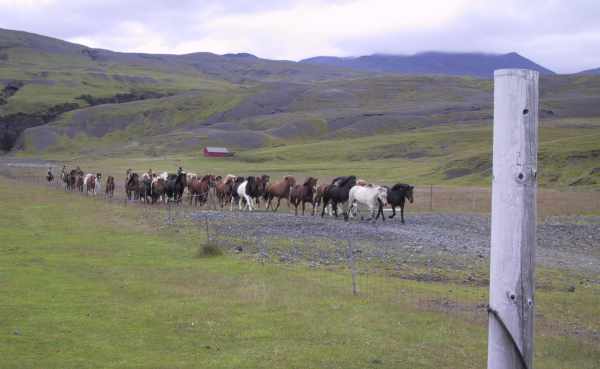 Island 2002: P&aring; vej ud mod sidste etape