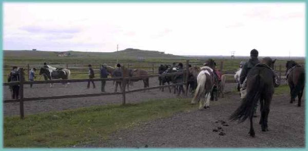 Island 2002: Vi skal ud p&aring; ridetur.