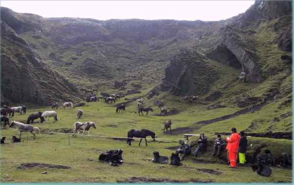 Island 2002: Pause i regnvejr i 