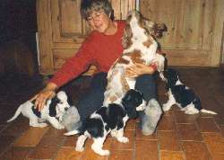 Bimba, Estate, Trico og Dino!