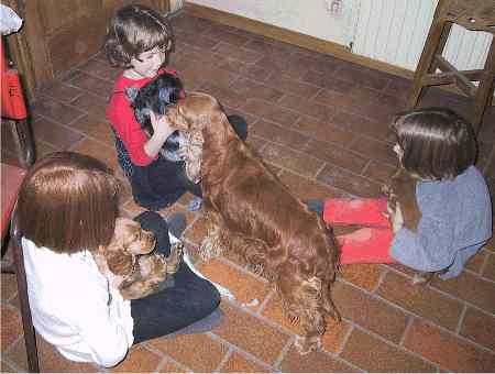 Der k&aelig;les - og Minni ser p&aring;!