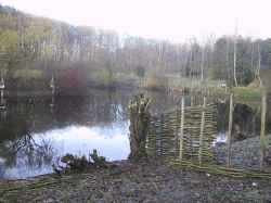 .....s&aring; hundene ikke forstyrres n&aring;r de apporterer fra vand.