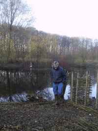 Vi har flettet nogle hegn af de pil, vi har ryddet...