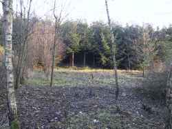 Vi er ved at rydde en jagt-tr&aelig;ningsbane p&aring; skr&aelig;nten ned til s&oslash;en!