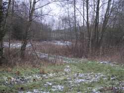 ....f&aring;r man et kik over mod s&oslash;en, hvor pileflethegnet kan anes i baggrunden i midten af billedet.