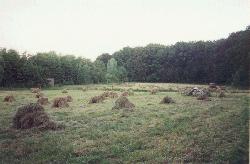 tr&aelig;ningsarealet lige efter, at der er sl&aring;et h&oslash;.